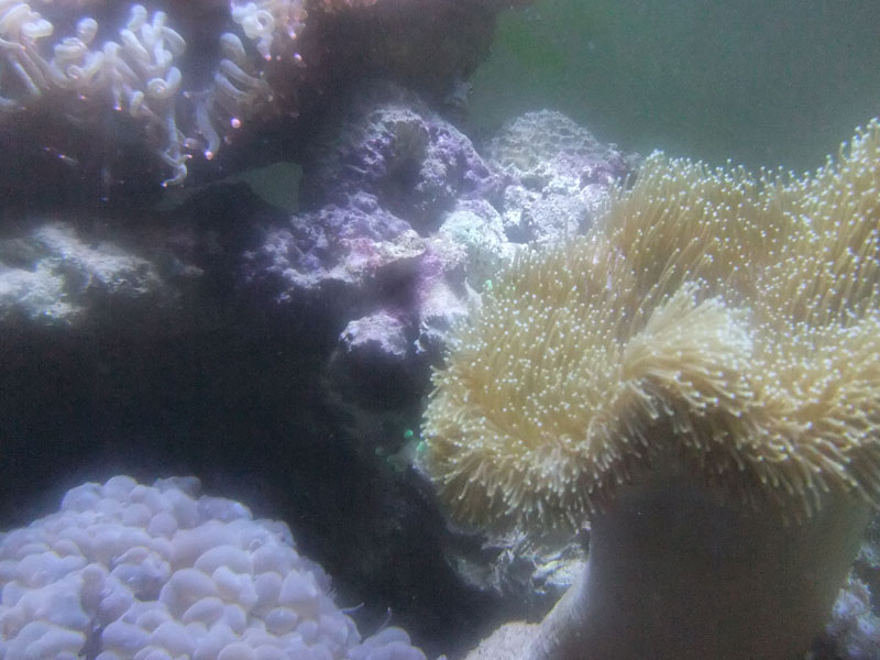 DSCF1141
